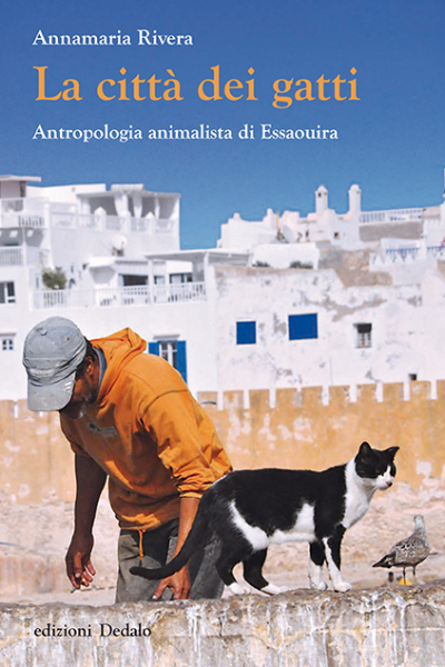 La città dei gatti. Antropologia animalista di Essaouira
